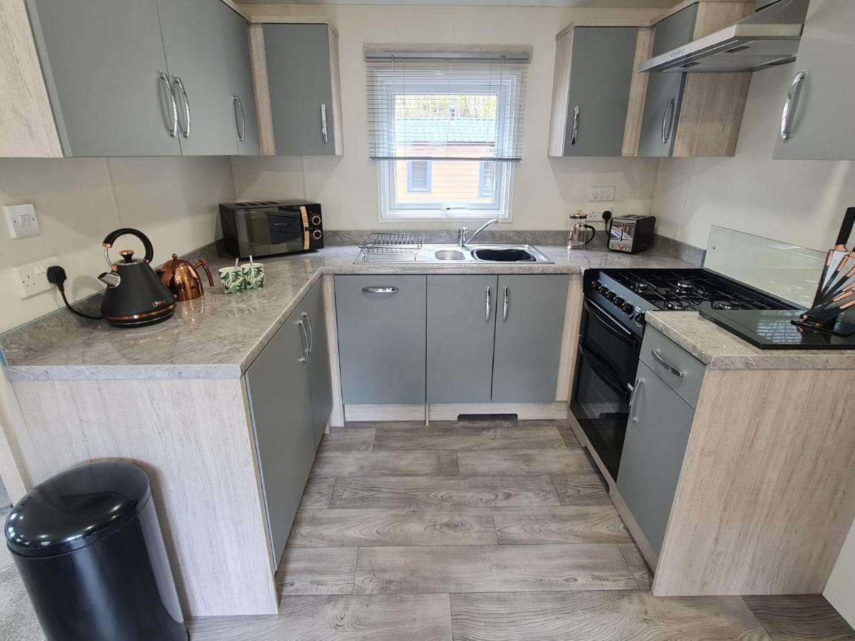 The Ceredigion - Plot 26, Woodlands Lodge Retreat, New Quay, West Wales Llanina Exterior foto